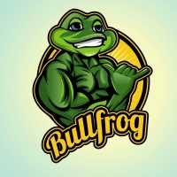 Bullfrog Digital Marketing Agency & SEO Company Logo