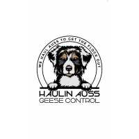 Haulin’ Auss Geese Control LLC Logo