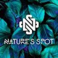 Nature's Spot - Dispensary Logo