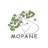 Mopane Logo