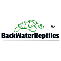 Backwater Reptiles Logo