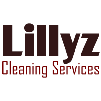 Lillyz Comercio Services Logo