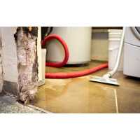 Water Damage Experts of Pirates Cove Logo
