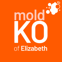 Mold KO of Elizabeth Logo