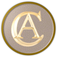 Anusolu Concepts LLC Logo