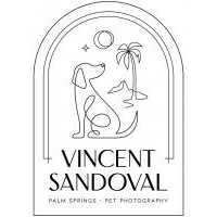 Vincent Sandoval Photography Logo