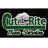 Cut Rite Tree Service Logo