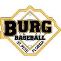 Burg Baseball Inc Logo