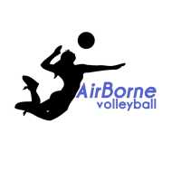 airborne volleyball Logo
