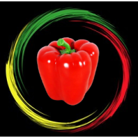 Zachrans Seasoning and Spices Logo