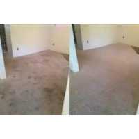 Pearland Carpet Cleaning Logo
