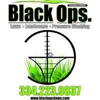 Black Ops. Lawn & Landscape Logo