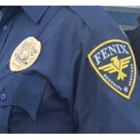 Fenix Security Services Logo