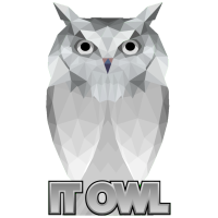 IT OWL Logo