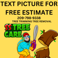 SS TREE CARE Logo