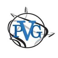 PLATINUM VENTURE GROUP LLC Logo