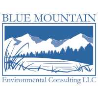 Blue Mountain Environmental Consulting Logo