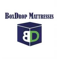 BoxDrop Mattresses Macclenny Logo