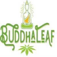 Buddha Leaf - Lincoln Logo