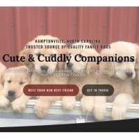 Cute & Cuddly Companions Logo
