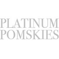 Platinum Pomskies Logo