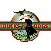 Ducks n Dogs Hunting Lodge Arkansas Logo