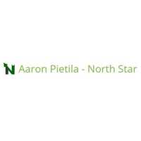 North Star Insurance Logo