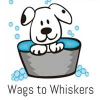Wags to Whiskers Logo