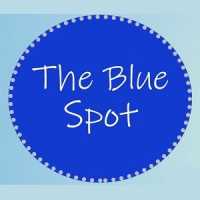 The Blue Spot Logo