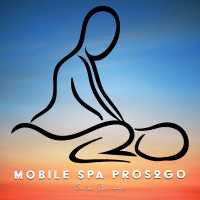 Massage Pros2Go Logo