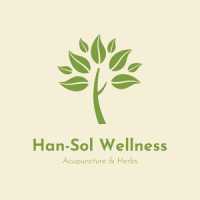 Han-Sol Wellness Acupuncture & Skin Care Logo