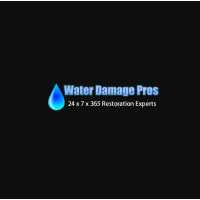 Water Damage Pros of Columbus Ohio Logo