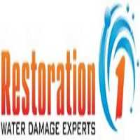 Restoration 1 of Gastonia- Fire, Mold & Water Damage Experts Logo