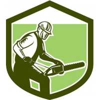 Mr Tree Service Logo