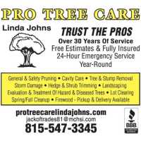 Pro Tree Care & Landscaping â€“ Linda Johns Logo