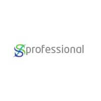 SNS Professional Logo