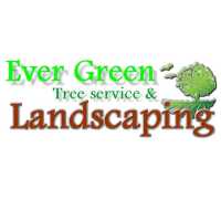 Ever Green Tree Services & Landscaping Logo