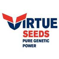 Virtue Seeds Logo