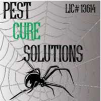 Pest Cure Solutions Logo