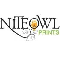 Nite Owl Packaging Logo