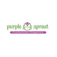 Doctor Nature Healing / Purple Sprout Logo