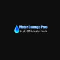 Water Damage Pros of Cleveland Ohio Logo