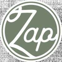 The Zap House Logo