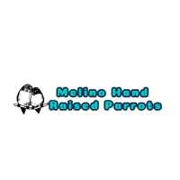 Melino Hand Raised Parrots Logo