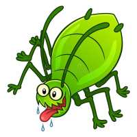 Pest Control Services in Hondo, TX Logo