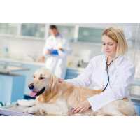 Oahu SPCA Veterinary Clinic and Animal Shelter Logo