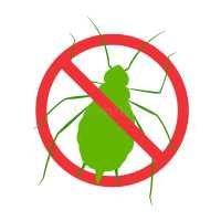 Pest Control in New Boston, TX Logo