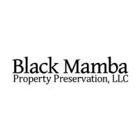 Black Mamba Property Preservation, LLC Logo