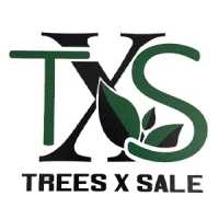 TREES X SALE Logo