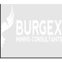 Burgex Inc. Logo